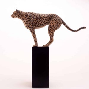 Dierenbeeld cheetah jachtluipaard op uitkijk keramiek inez eijkenboom animal sculptures.