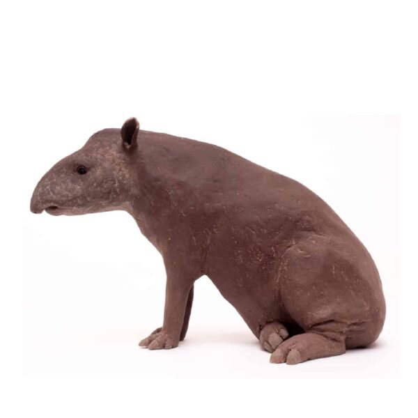 Dierenbeeld tapir zittend keramiek inez eijkenboom animal sculptures.